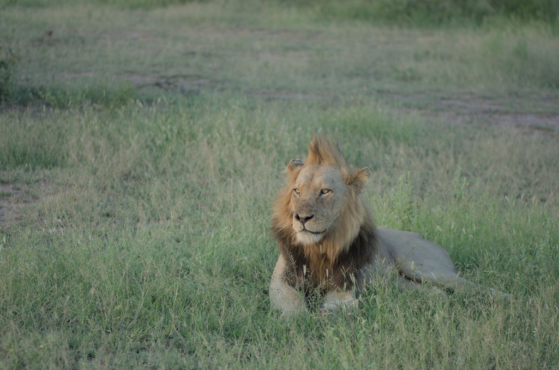 DSC_1033.jpg