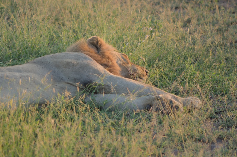 DSC_1043.jpg