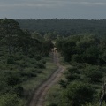 DSC 1124