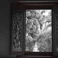  DSC0607