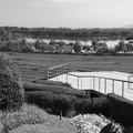  DSC0737