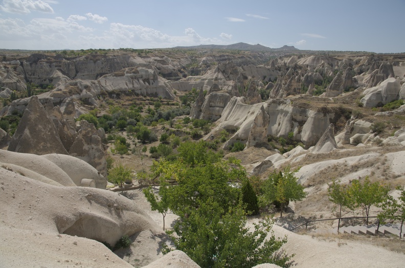 DSC_3024.jpg