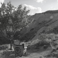DSC 3136