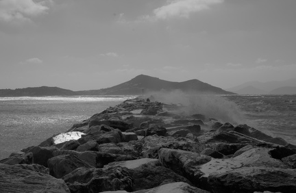 DSC 0713