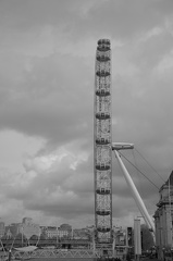 DSC 6298