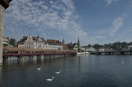 DSC 3030