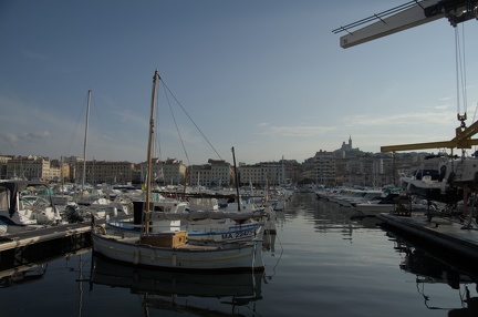 DSC 5965