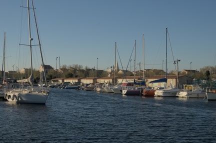 DSC 7818