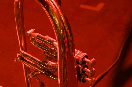 DSC 8983