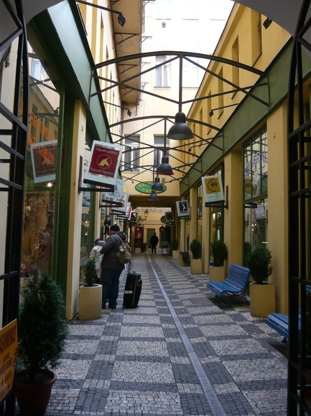 P1000109.jpg