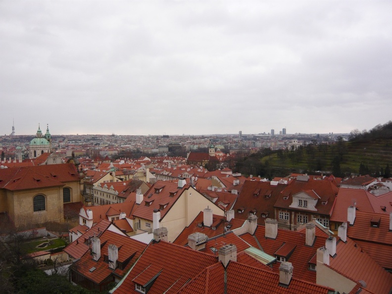 P1000153.jpg