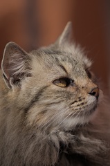 DSC 7591