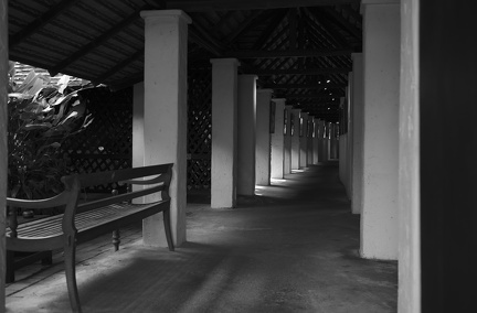  DSC0620 01