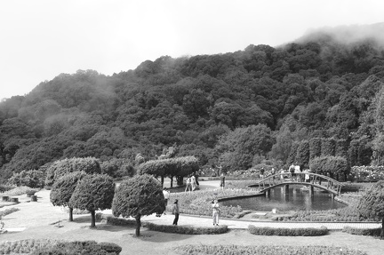  DSC0647