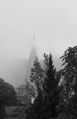  DSC0673