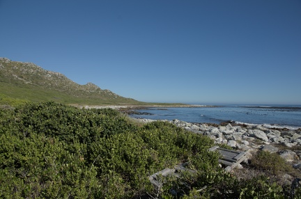 DSC 0868