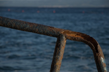 DSC 8731