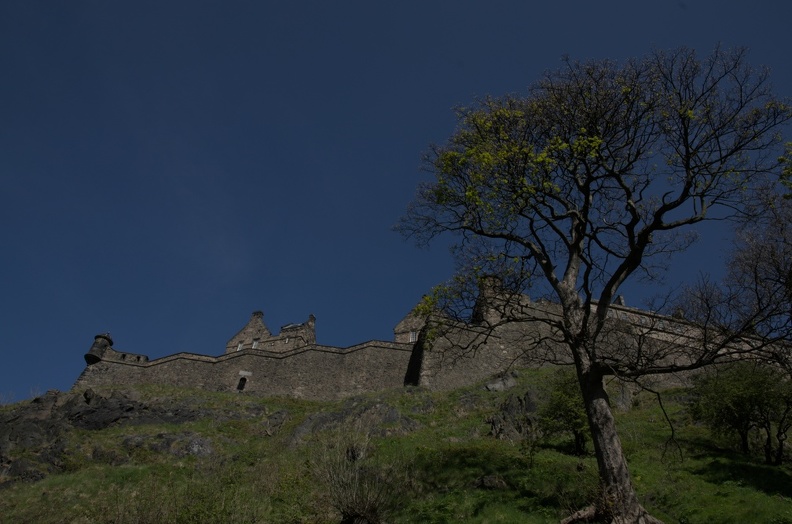 DSC_2037.jpg