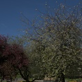 DSC 2040