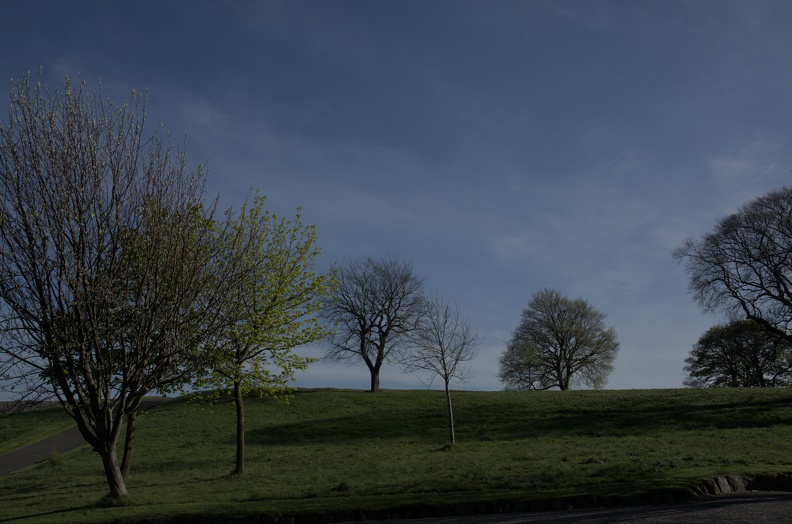 DSC_2068.jpg