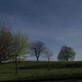 DSC 2068