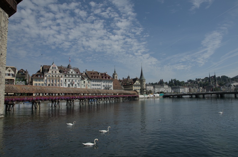DSC_3030.jpg