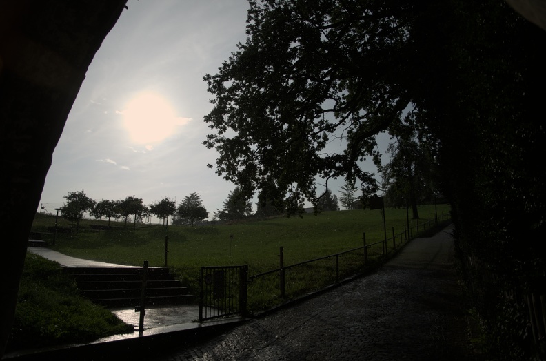 DSC_3187.jpg