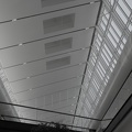 DSC 7902