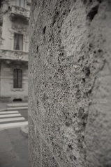 DSC 3601