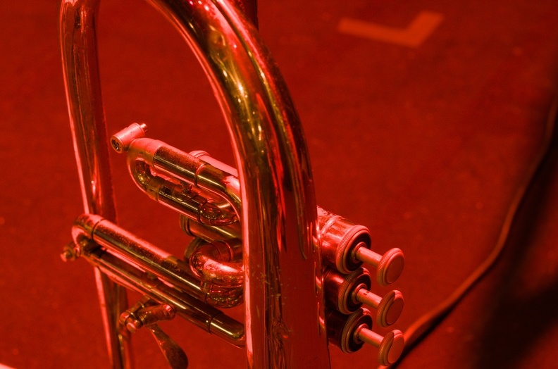 DSC_8983.jpg