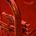 DSC 8983