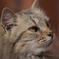 DSC 7591