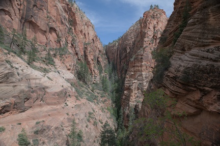  DSC1040